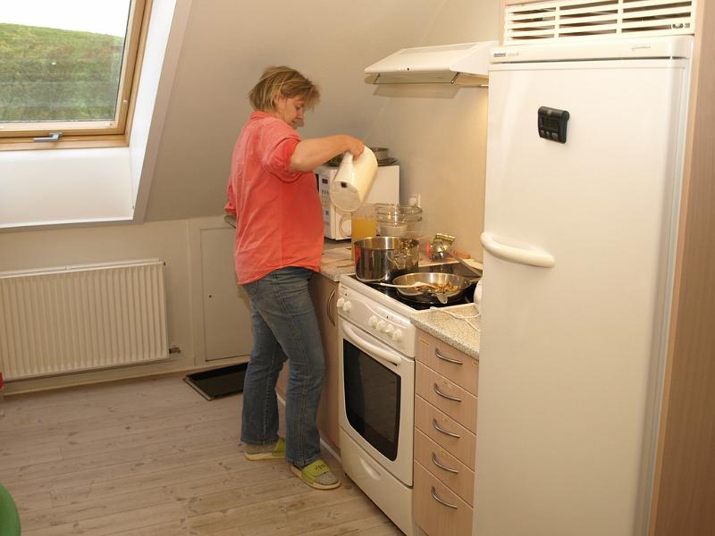 Hvolris 2008 51.JPG
